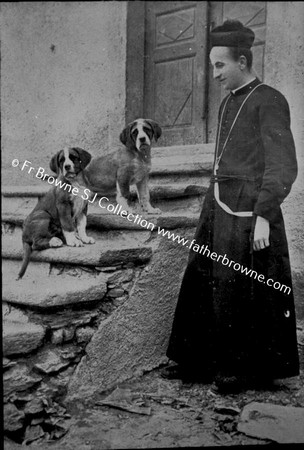 ST BERNARD DOGS WITH REV CURATOR COPY